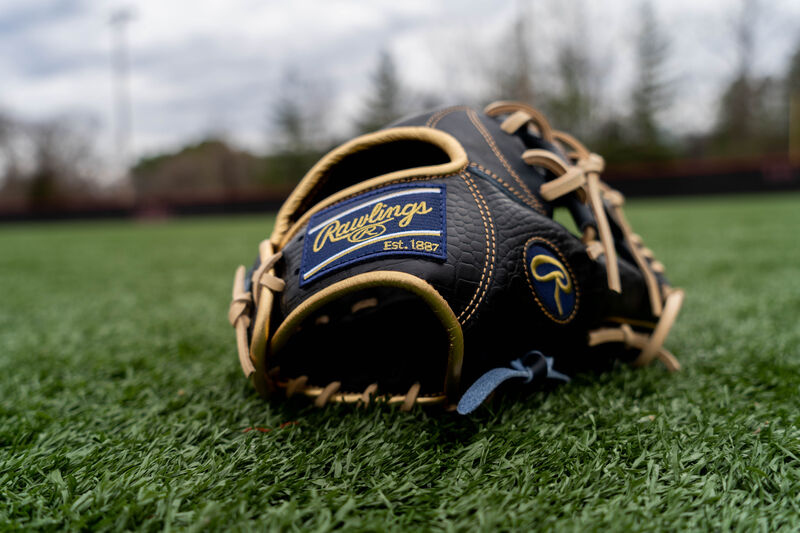 A Rawlings HOH Croc embossed leather glove sitting on the ground with a navy Rawlings patch - SKU: PRONP4-2NCC