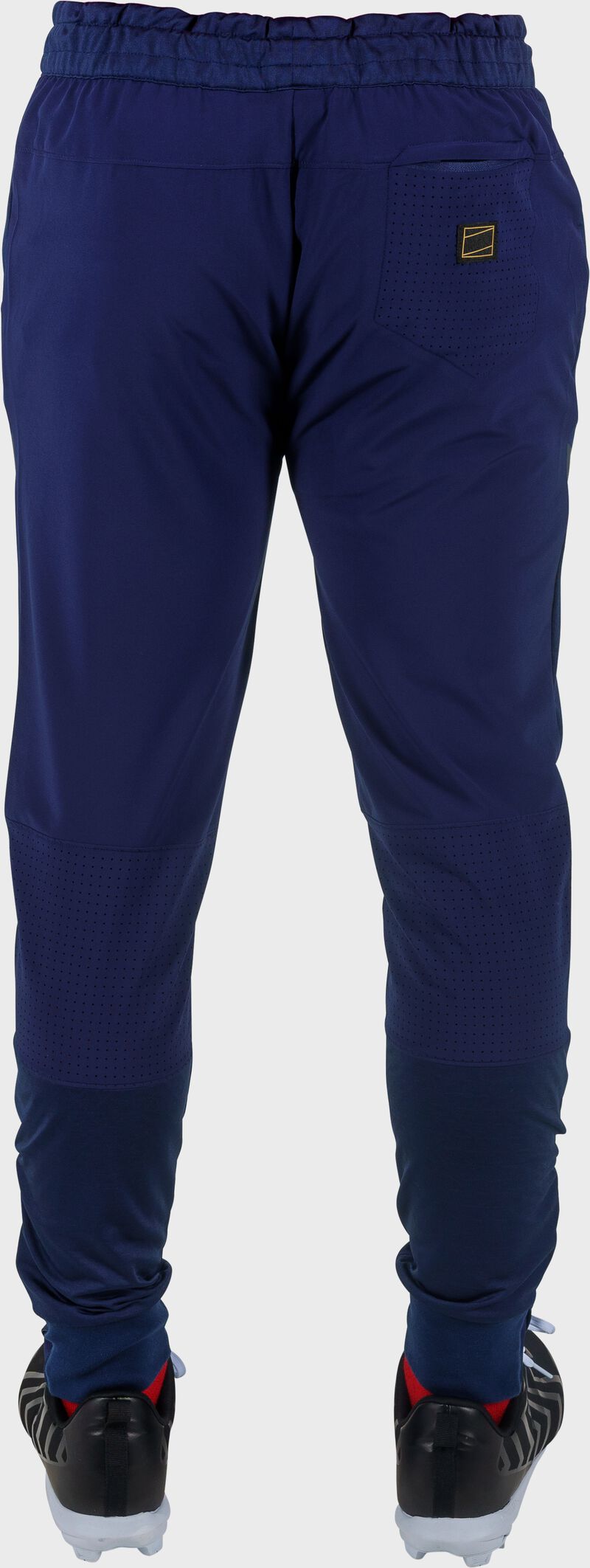 Rawlings Gold Collection Training Jogger Pant, Adult 2XL, Navy