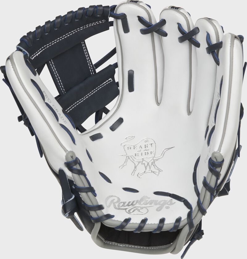 yankees baseball gear