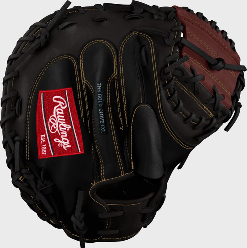 Buster Posey Custom Glove