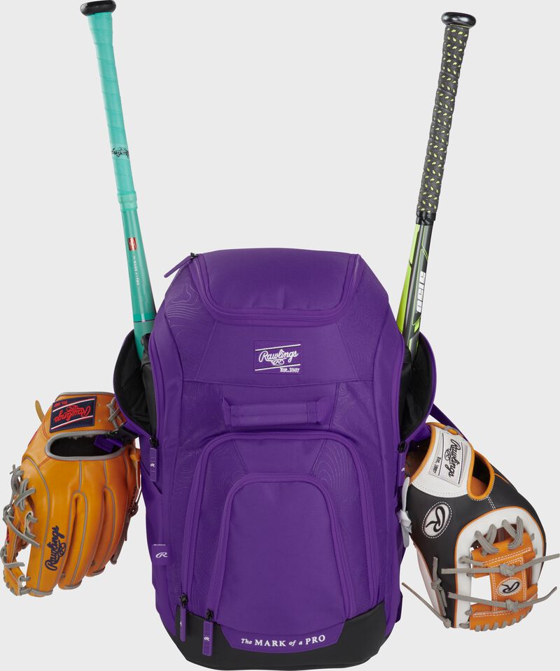 Franchise 2 Players Backpack, Purple