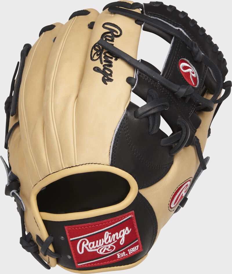 PRONP4-2BC 11.5-inch Heart of the Hide I web glove with a camel back and camel welting loading=
