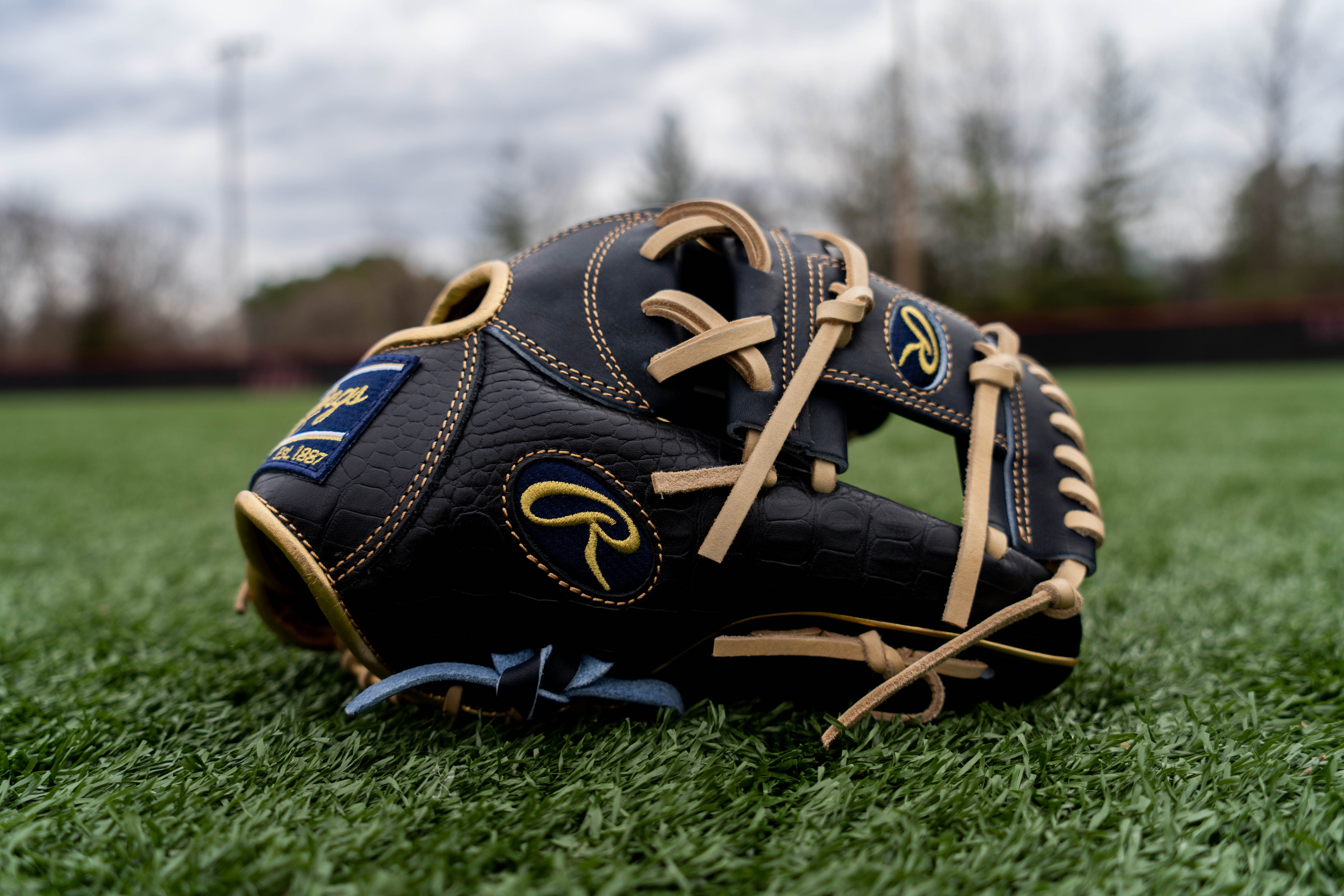 2020 Heart of the Hide Exclusive Croc I Web Glove