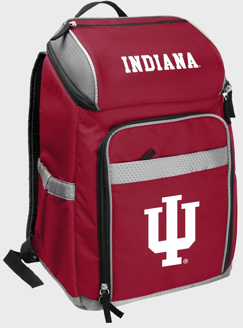 NCAA 32 Can Backpack Cooler, Multiple Teams