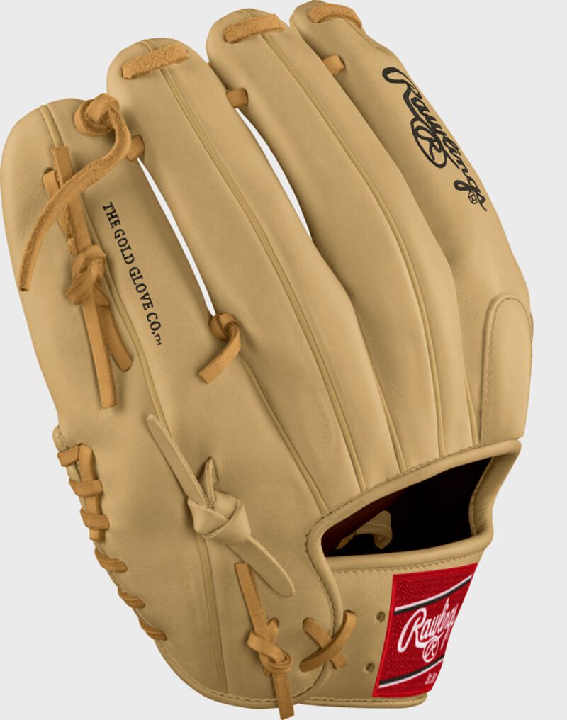 D.J. LeMahieu Custom Glove