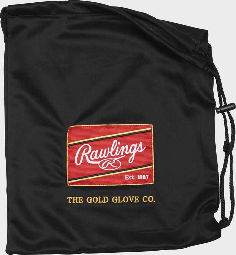 Rawlings Glove Bag