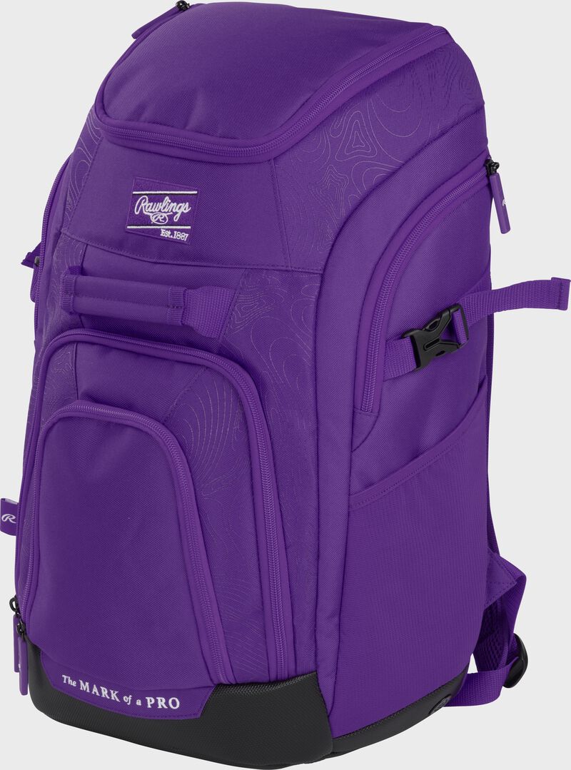 Franchise 2 Players Backpack, Purple