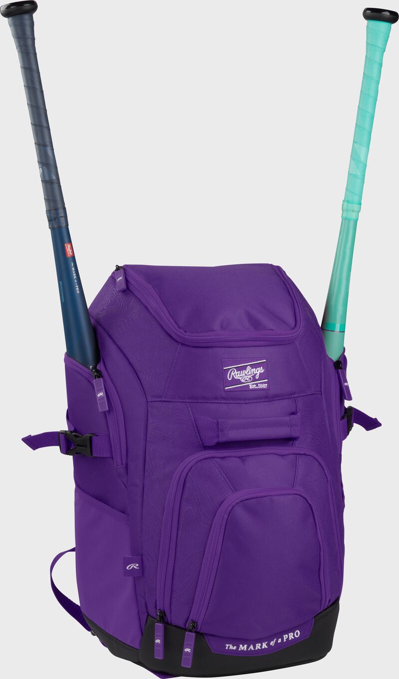 Franchise 2 Players Backpack, Purple