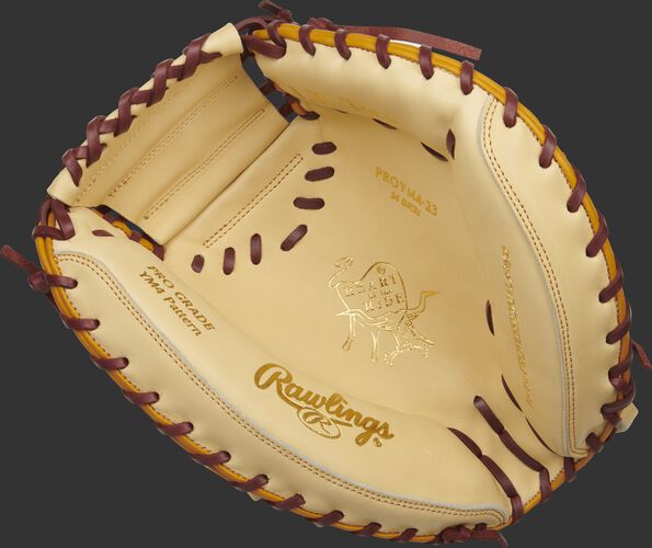 Heart of the Hide 34 in Custom Catcher's Mitt