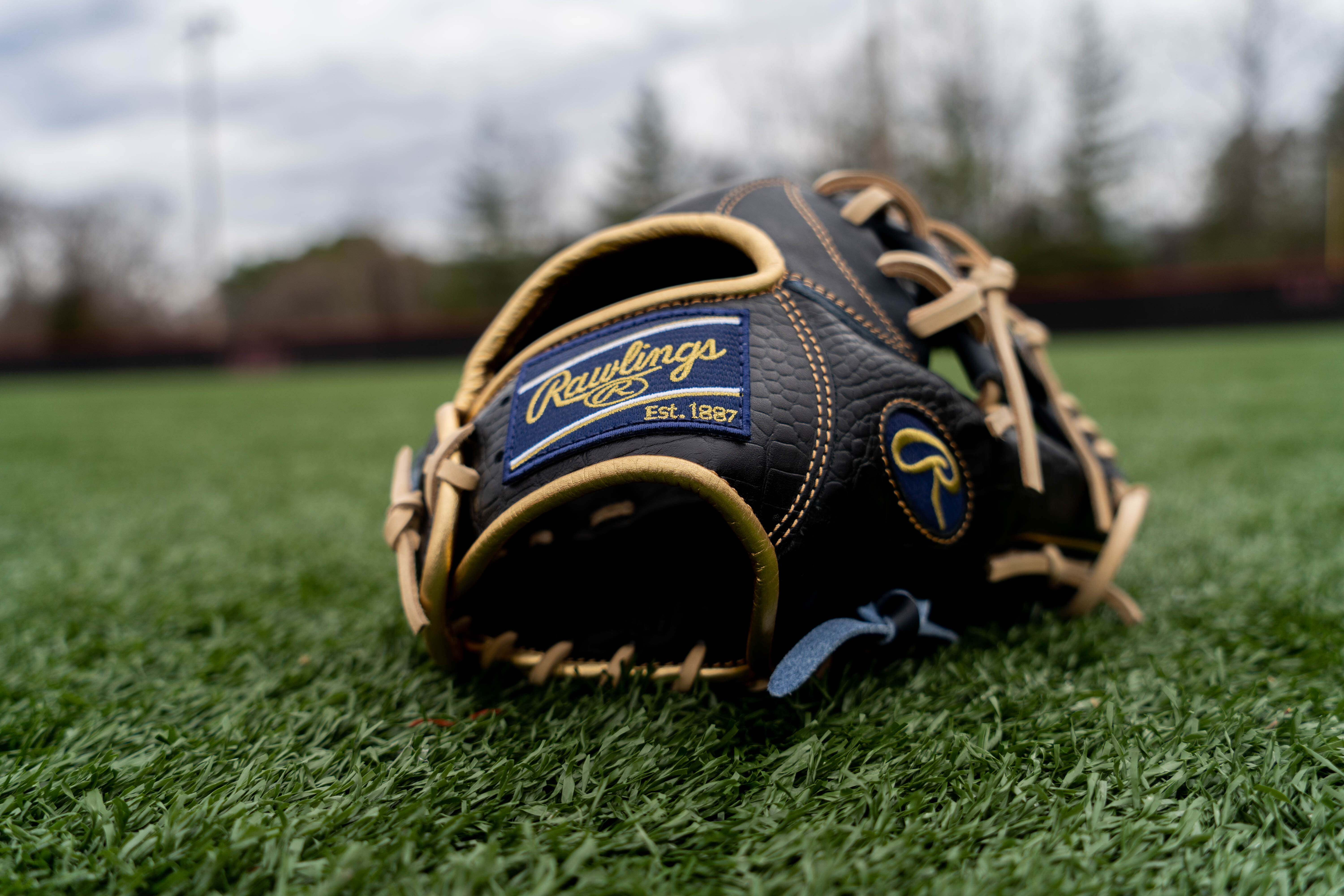 Rawlings sales croc glove