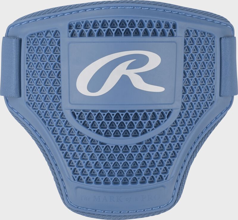 Rawlings Elbow Guard, Columbia Blue, Small