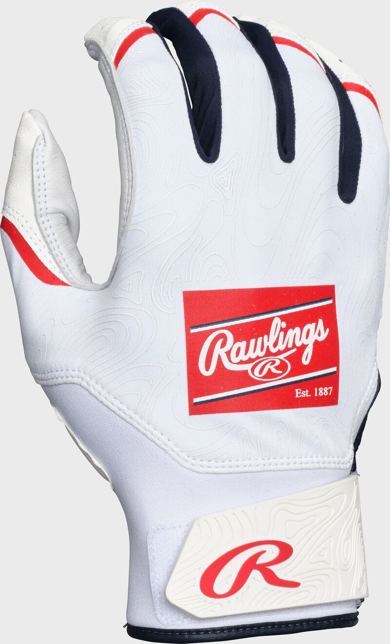 Back of a USA Clout batting glove