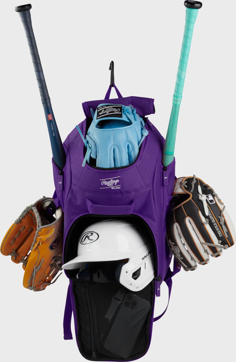 Franchise 2 Players Backpack, Purple