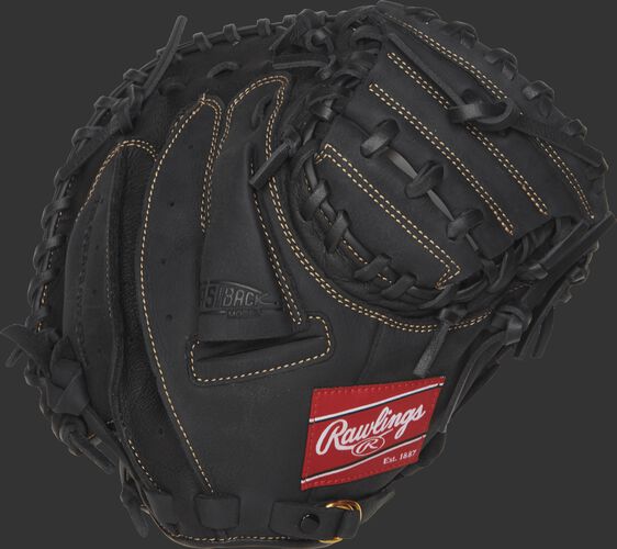 Back view of a black 31.5-inch Renegade Series youth recreational catcher's mitt with a black back