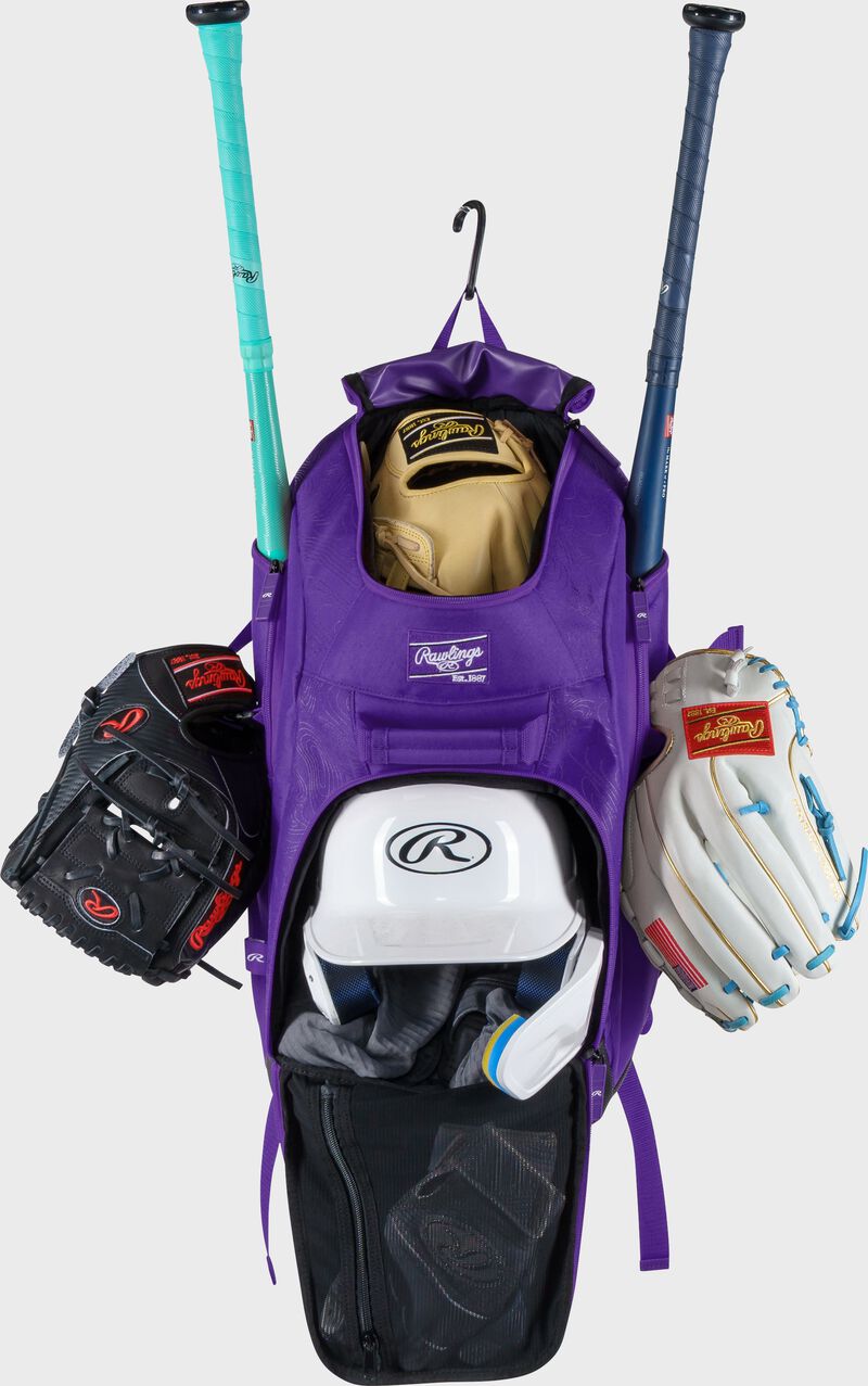 Franchise 2 Players Backpack, Purple