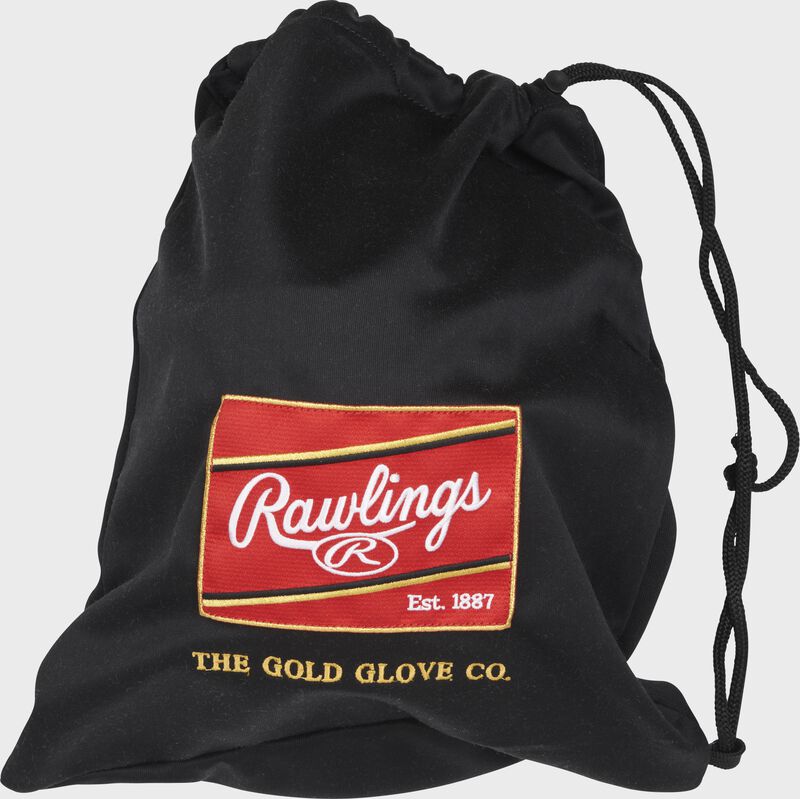 Rawlings Glove Bag