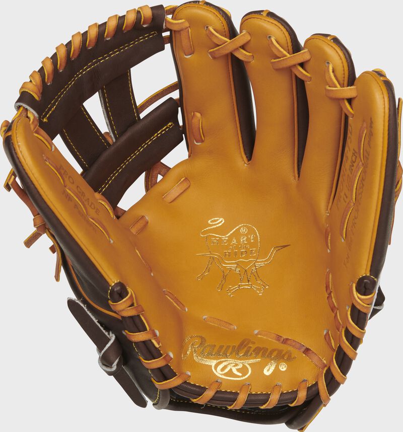 padres baseball gear