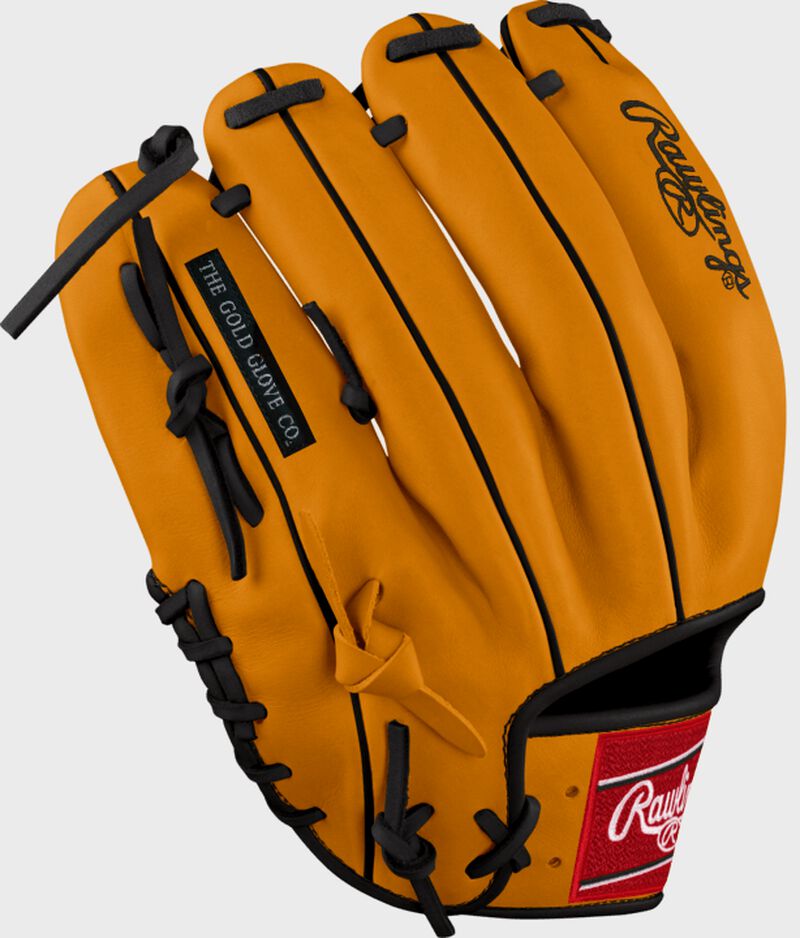 Alexei Ramirez Custom Glove