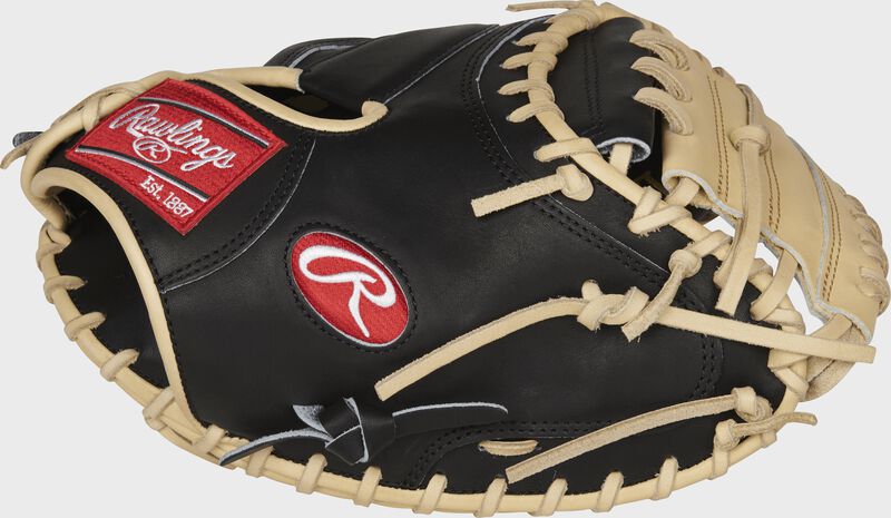 Heart of the Hide R2G Series 33 in Catcher's Mitt