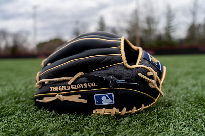 Back side of a Croc embossed HOH exclusive infield glove on a field - SKU: PRONP4-2NCC