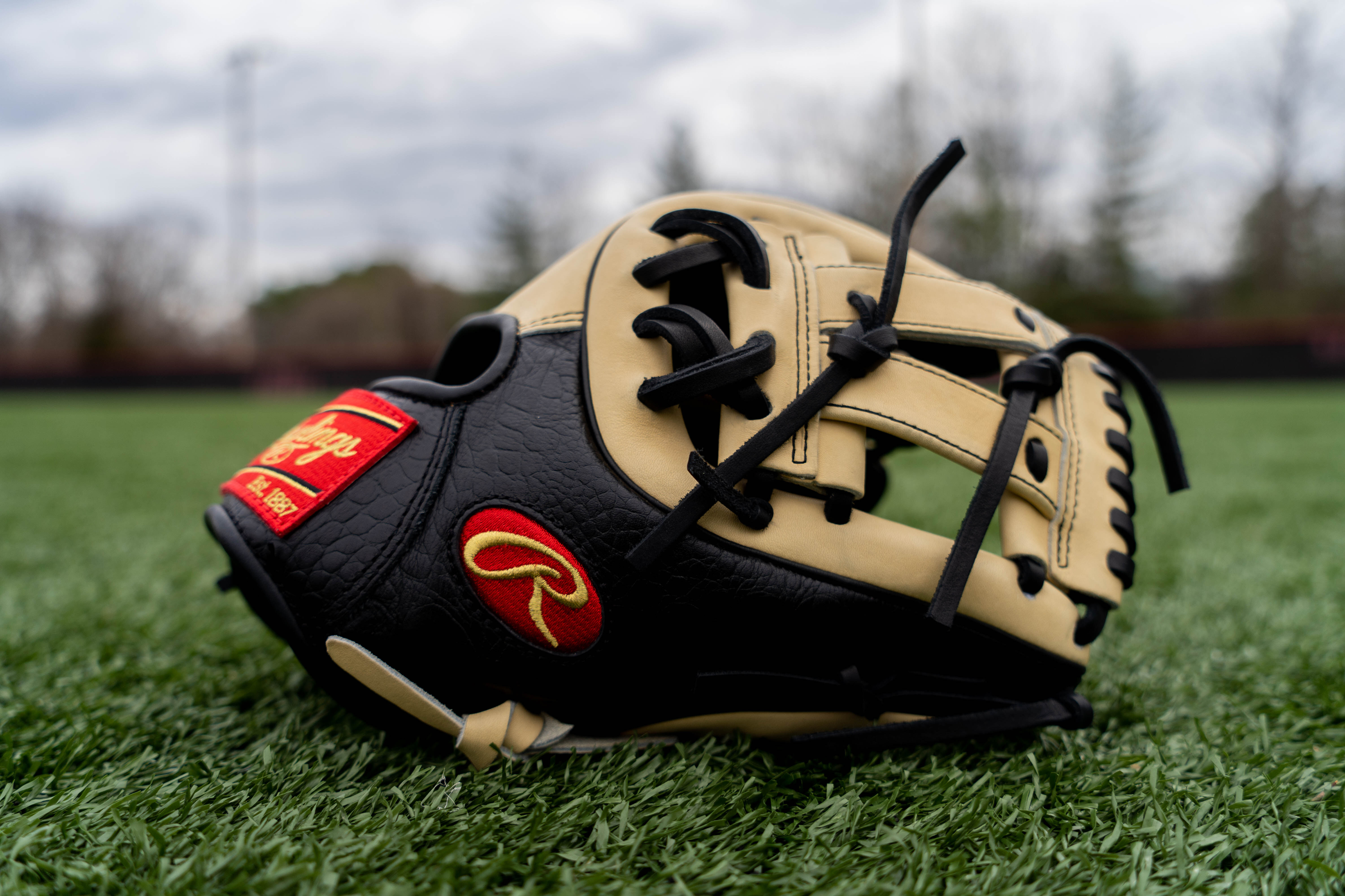 Exclusive 2020 11.5 Inch Heart of the Hide Croc Glove Rawlings