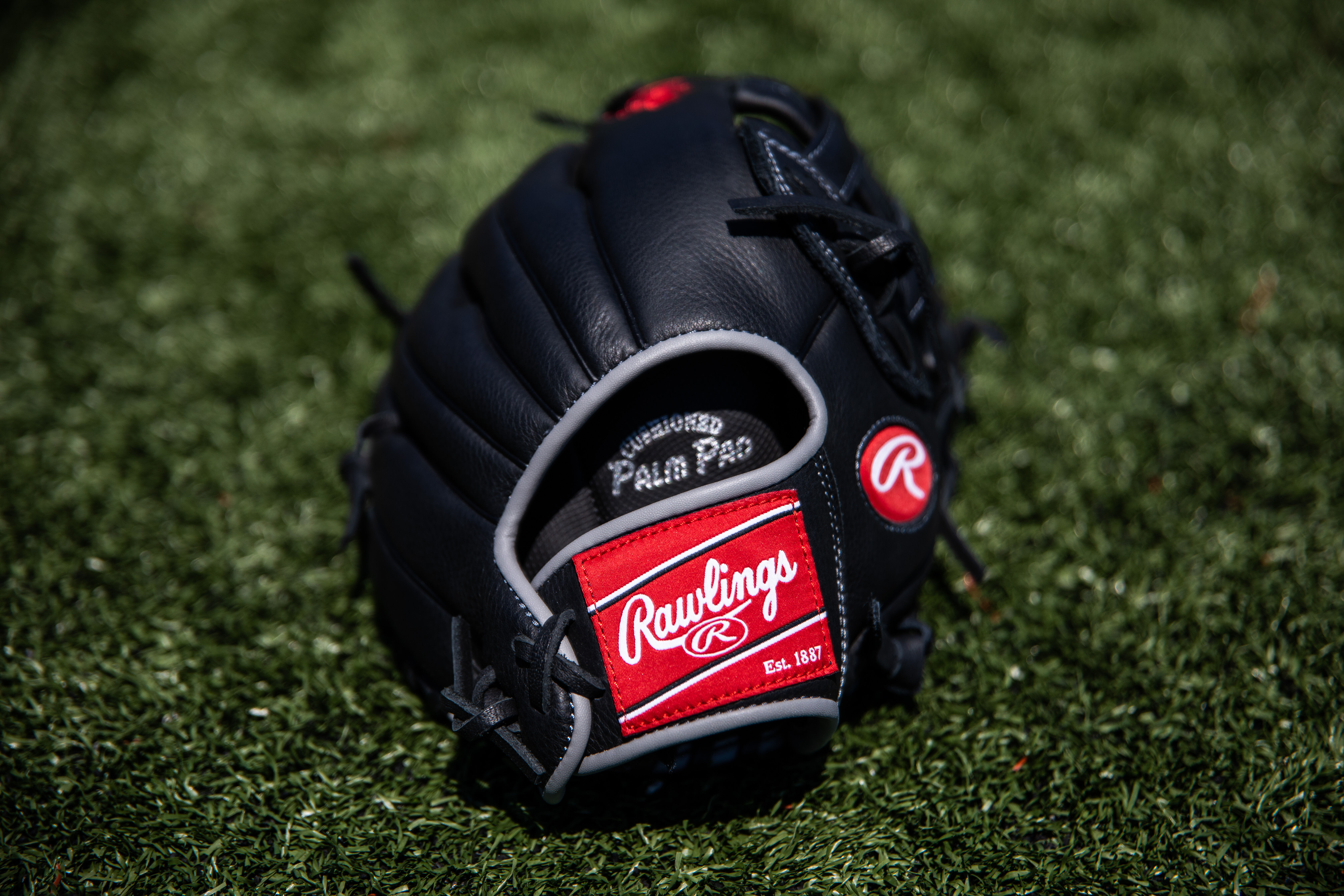 Aaron judge baseball glove
