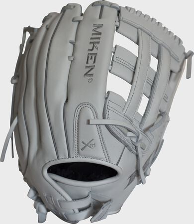 Pro Series 13 in Slowpitch Glove