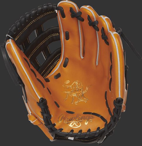 Top Baseball Glove Manufacturers Baseball Equipment Guide