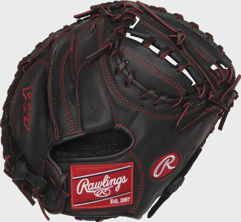 R9 Series 32 in Pro Taper Catcher's Mitt