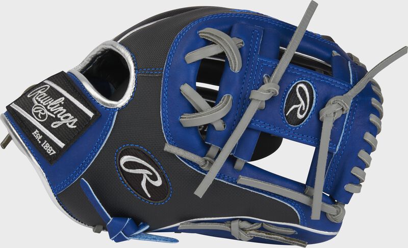 ColorSync 7.0 Heart of the Hide I-Web IF Glove