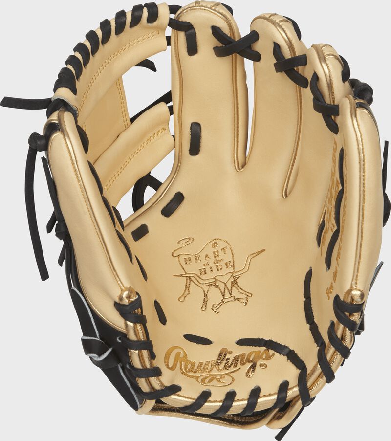 Heart of the Hide ColorSync 5.0 Speed Shell I-Web Glove, Limited Edition