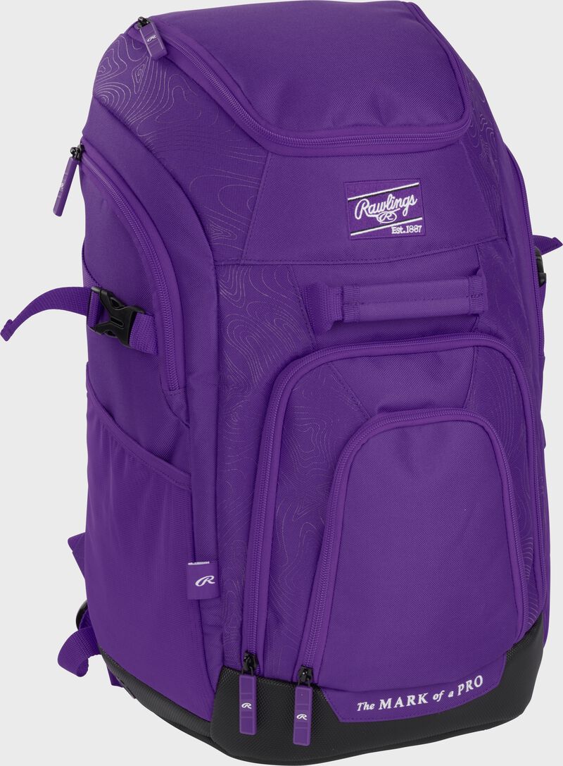 Franchise 2 Players Backpack, Purple