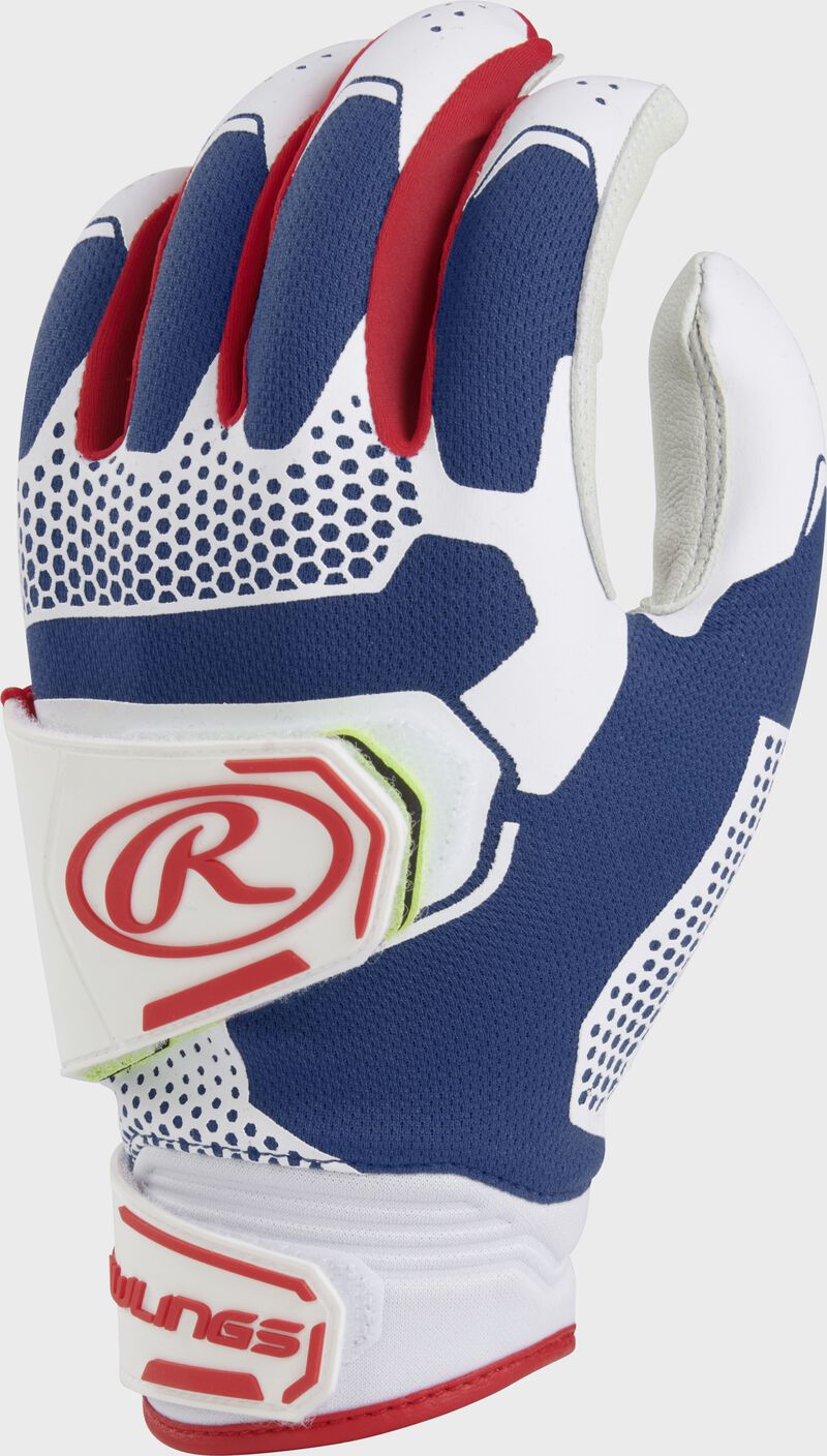 Back of a USA 2022 Women's workhorse pro batting glove - FP2PBG-USA