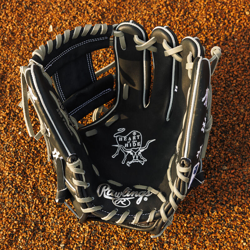 Rawlings Gold Glove NYヤンキース Rawlings Gold Glove Club August 2024 Baseball Glove Heart of
