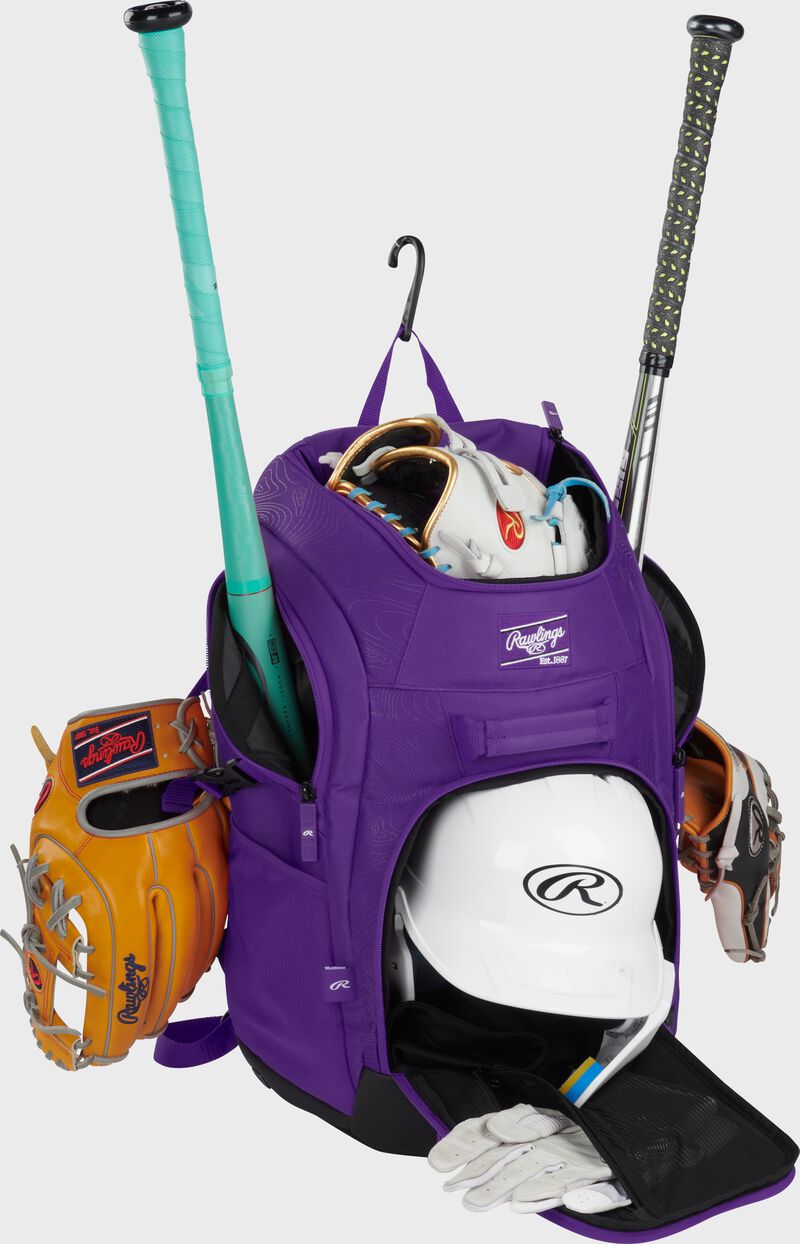 Franchise 2 Players Backpack, Purple