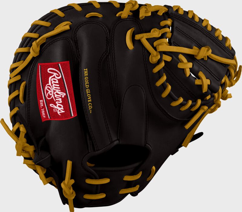 Francisco Cervelli Custom Glove