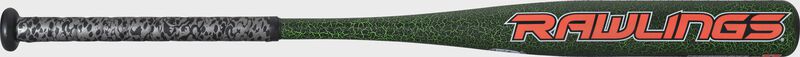 Raptor Youth Bat loading=