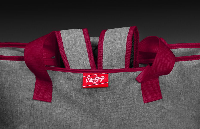 Backpack straps on a 49ers tote cooler