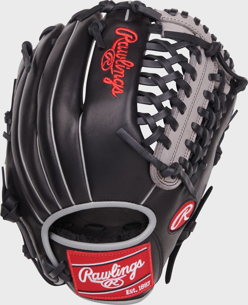 Black back of a Aaron Judge Foundation Series youth Modified Trap-Eze web glove with a red Rawlings patch - SKU: RSGRF206-4B