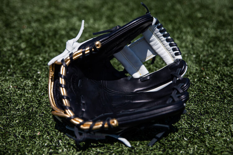 Black palm of an Encore I-web glove lying on a field - SKU: EC1150-2BW