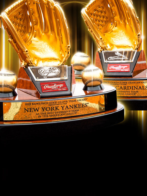Rawlings gold glove award discount