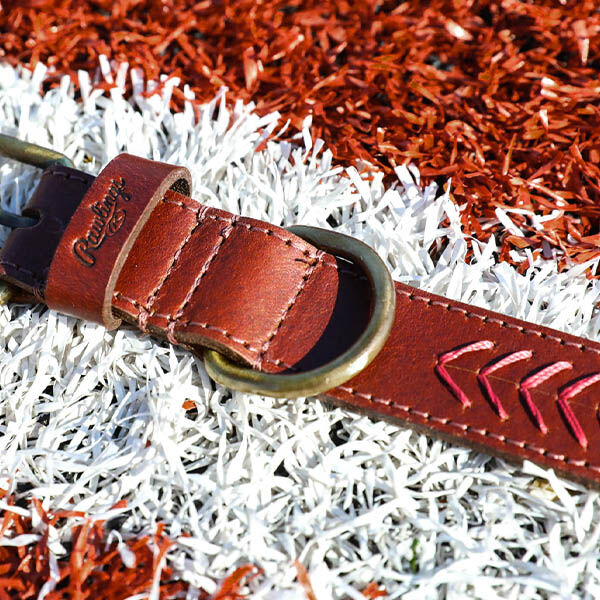 Rawlings dog collar outlet
