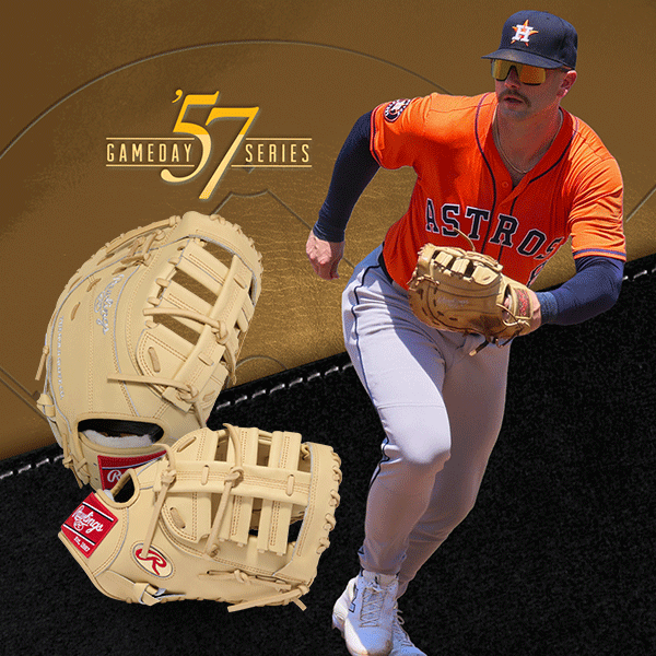 Rawlings - 軟式キャッチャーミット alley cats 野球 ローリングス 硬式 キャッチャーミット HOH PREMIUM