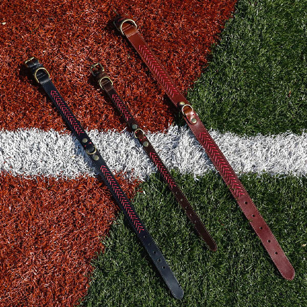 Rawlings dog collar discount