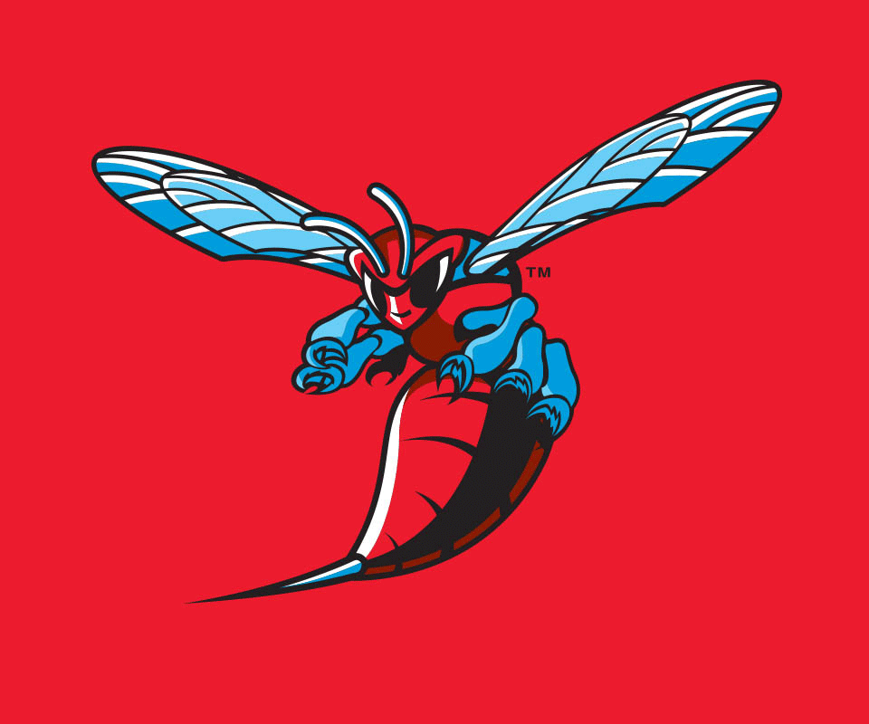 Delaware State University Logo