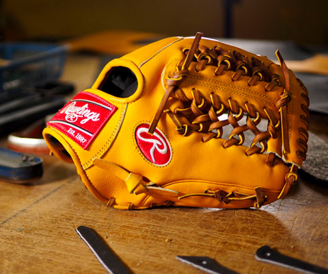 rawlings heart of the hide