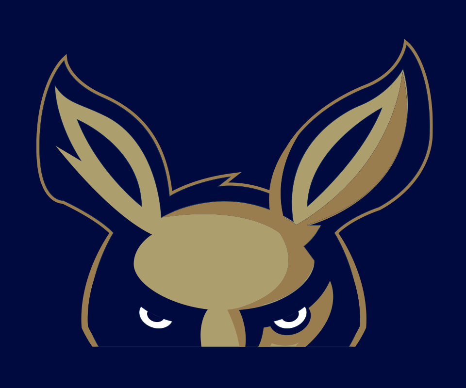 University of Akron Logo