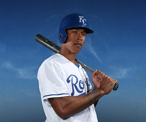 rawlings baseball bats