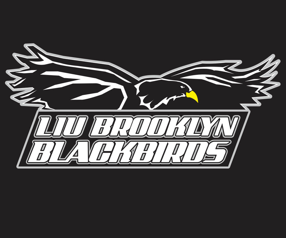 Long Island University Brooklyn Logo